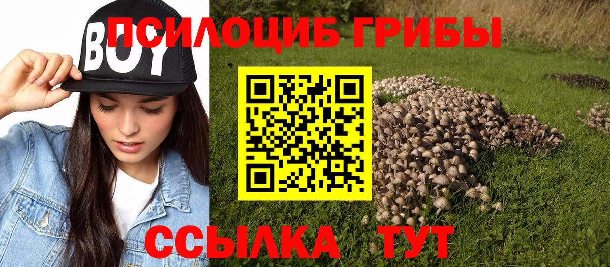 Галлюциногенные грибы мухоморы Павлово